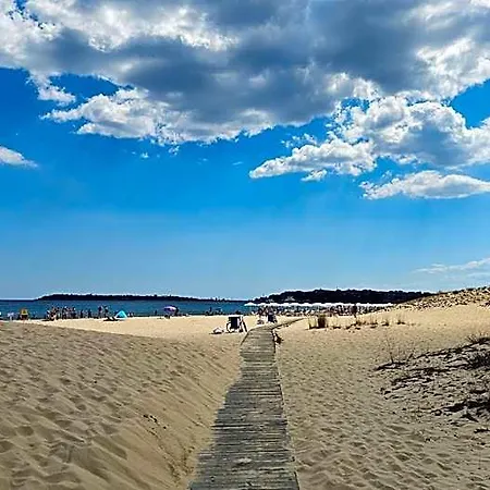 Longosa